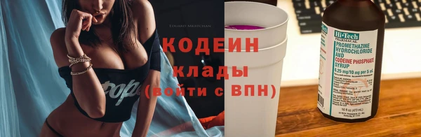 твердый Аркадак