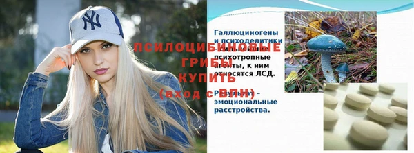 ГАЛЛЮЦИНОГЕННЫЕ ГРИБЫ Армянск