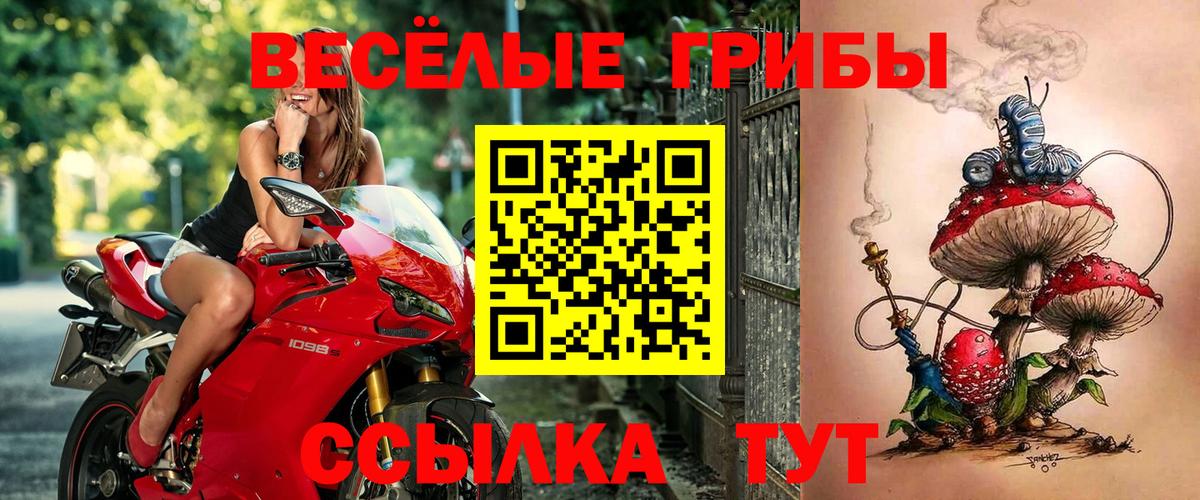 Псилоцибиновые грибы GOLDEN TEACHER Нарткала