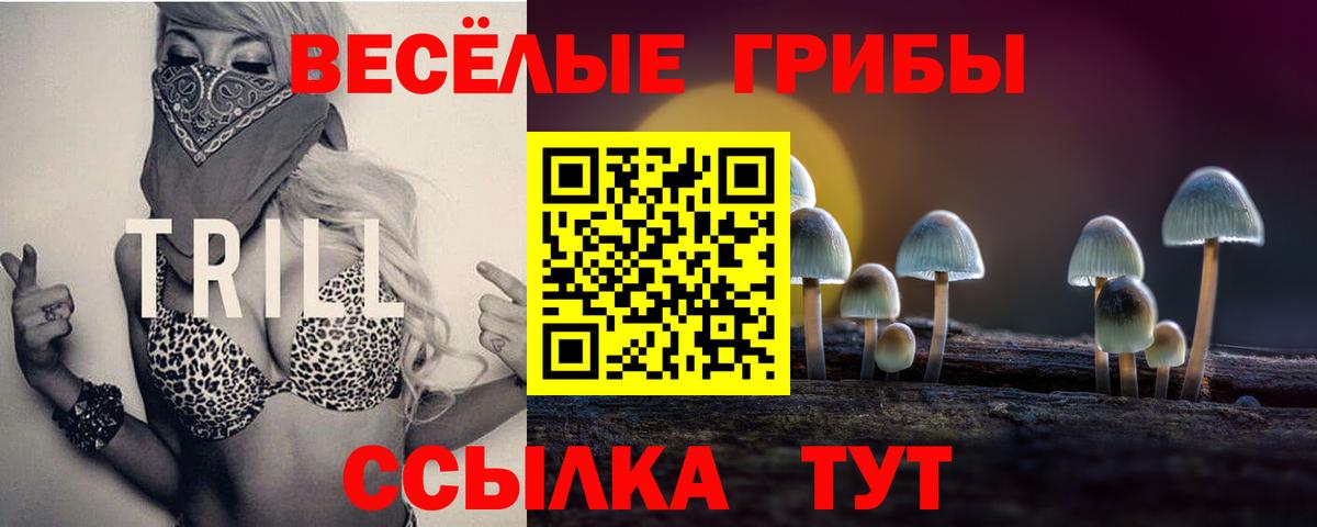Нарткала  как найти   Псилоцибиновые грибы Psilocybe  Вход с VPN  Галлюциногенные грибы Magic Shrooms 